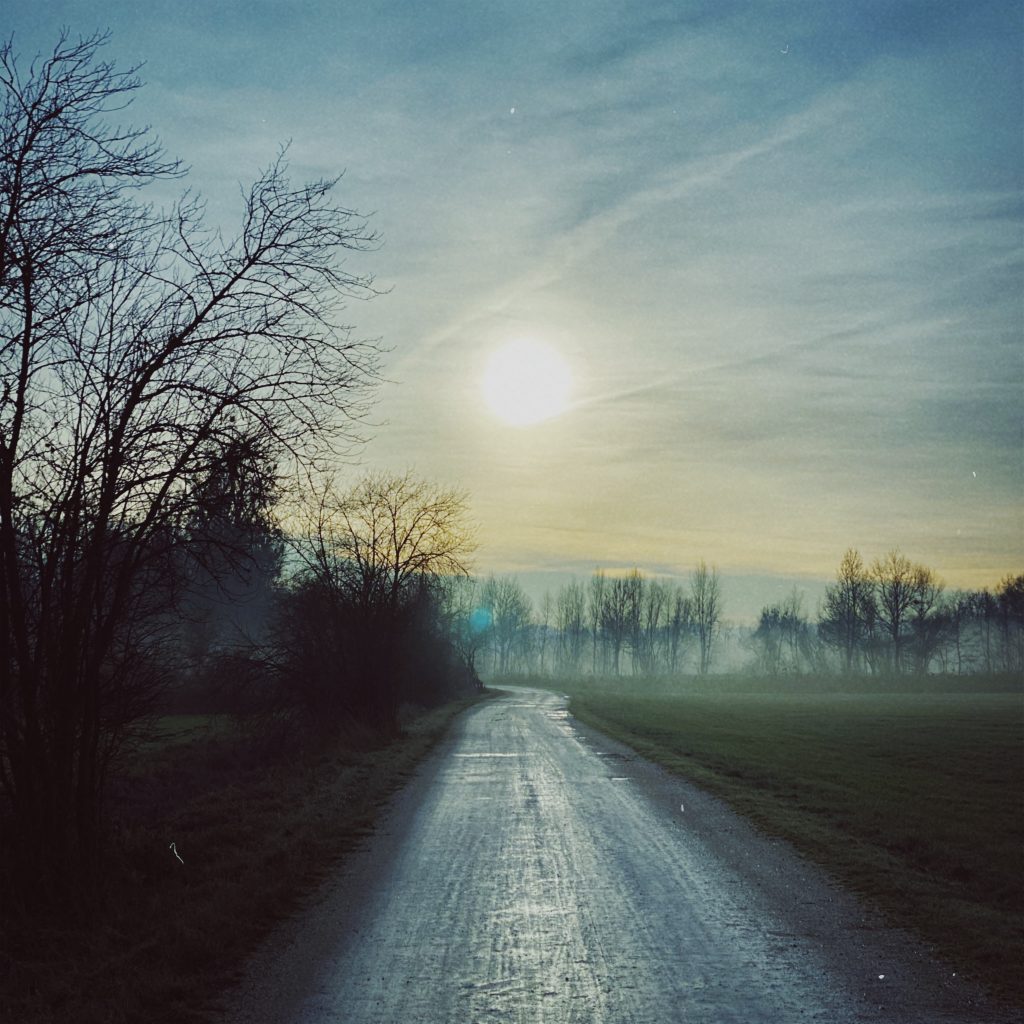 Ein Feldweg führt durch eine neblige Landschaft am Morgen, mit kahlen Bäumen auf beiden Seiten und der tief stehenden Sonne am Horizont.